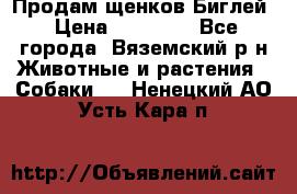 Продам щенков Биглей › Цена ­ 15 000 - Все города, Вяземский р-н Животные и растения » Собаки   . Ненецкий АО,Усть-Кара п.